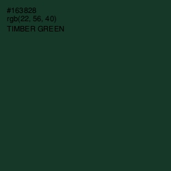 #163828 - Timber Green Color Image