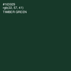 #163929 - Timber Green Color Image