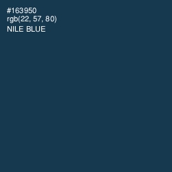 #163950 - Nile Blue Color Image