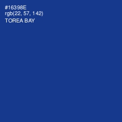 #16398E - Torea Bay Color Image