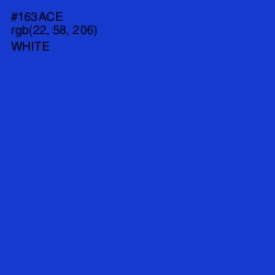 #163ACE - Dark Blue Color Image