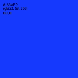 #163AFD - Blue Color Image