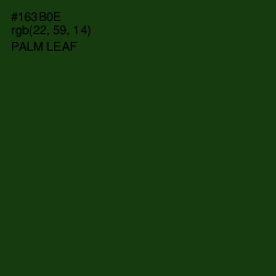 #163B0E - Palm Leaf Color Image