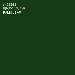 #163B13 - Palm Leaf Color Image