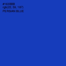 #163BBB - Persian Blue Color Image