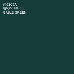 #163C3A - Gable Green Color Image