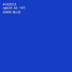 #163EC5 - Dark Blue Color Image