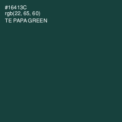 #16413C - Te Papa Green Color Image