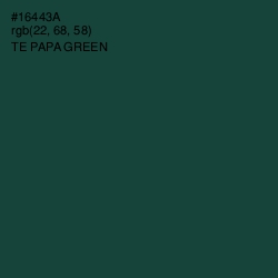 #16443A - Te Papa Green Color Image