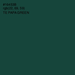 #16453B - Te Papa Green Color Image