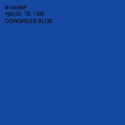 #16499F - Congress Blue Color Image