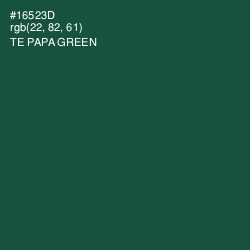 #16523D - Te Papa Green Color Image