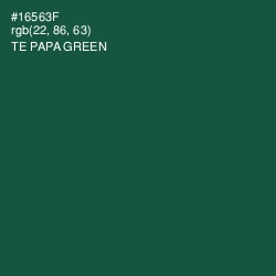 #16563F - Te Papa Green Color Image