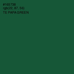 #165738 - Te Papa Green Color Image