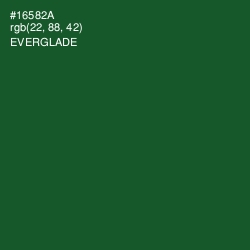 #16582A - Everglade Color Image