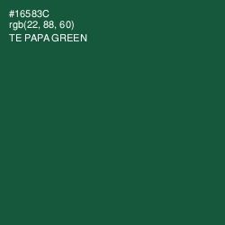 #16583C - Te Papa Green Color Image