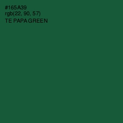 #165A39 - Te Papa Green Color Image