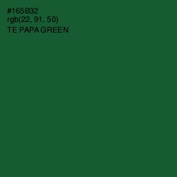 #165B32 - Te Papa Green Color Image