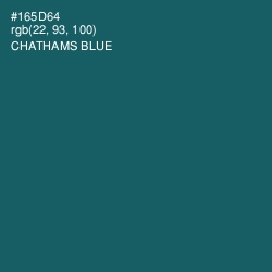 #165D64 - Chathams Blue Color Image