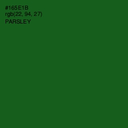 #165E1B - Parsley Color Image