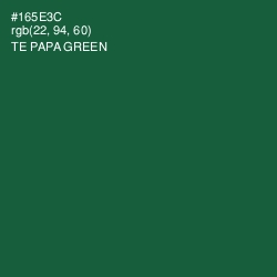 #165E3C - Te Papa Green Color Image
