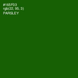 #165F03 - Parsley Color Image