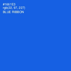 #1661E3 - Blue Ribbon Color Image