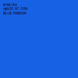 #1661E4 - Blue Ribbon Color Image