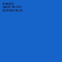 #1663C9 - Science Blue Color Image