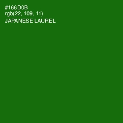 #166D0B - Japanese Laurel Color Image