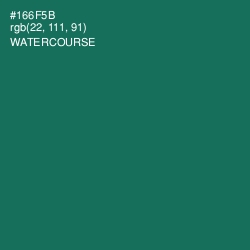 #166F5B - Watercourse Color Image