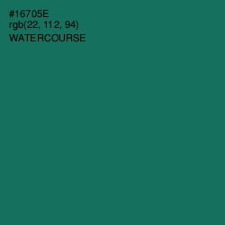 #16705E - Watercourse Color Image