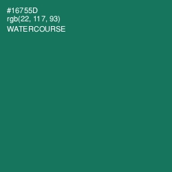 #16755D - Watercourse Color Image