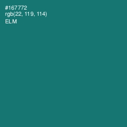 #167772 - Elm Color Image