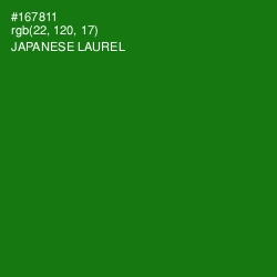 #167811 - Japanese Laurel Color Image