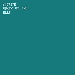#16797B - Elm Color Image