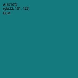 #16797D - Elm Color Image