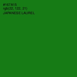 #167A15 - Japanese Laurel Color Image