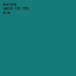 #167A78 - Elm Color Image