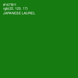#167B11 - Japanese Laurel Color Image