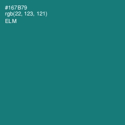 #167B79 - Elm Color Image