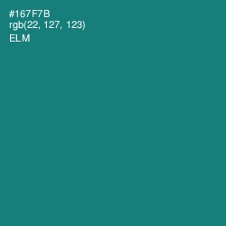 #167F7B - Elm Color Image