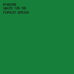#16803B - Forest Green Color Image