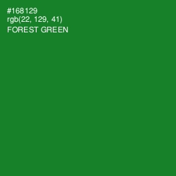 #168129 - Forest Green Color Image