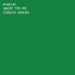 #16813F - Forest Green Color Image
