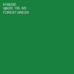 #16823E - Forest Green Color Image