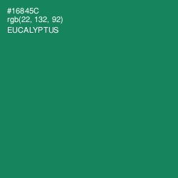 #16845C - Eucalyptus Color Image