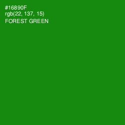 #16890F - Forest Green Color Image