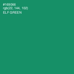 #169066 - Elf Green Color Image
