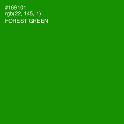#169101 - Forest Green Color Image
